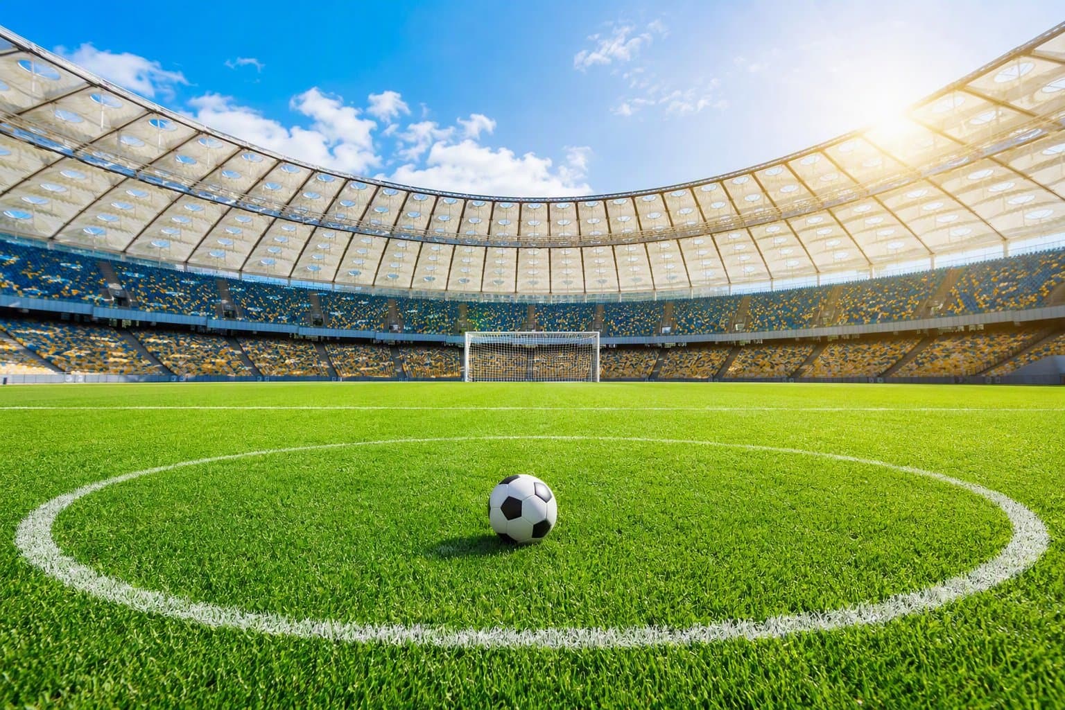 Soccer Victory - illustration, Jake Team LLC